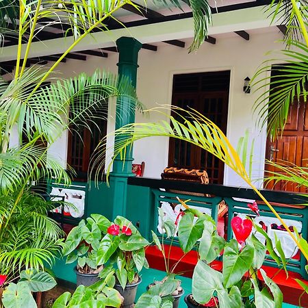 Sigiri Budget Homestay Sigirîya Extérieur photo