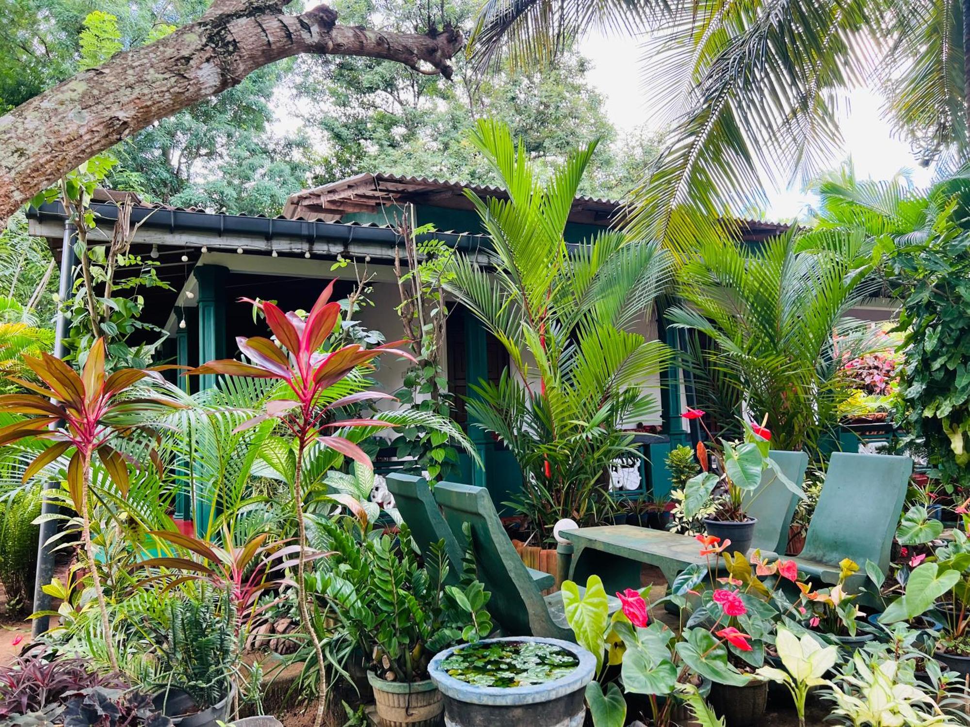Sigiri Budget Homestay Sigirîya Extérieur photo